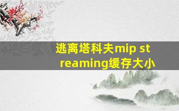 逃离塔科夫mip streaming缓存大小